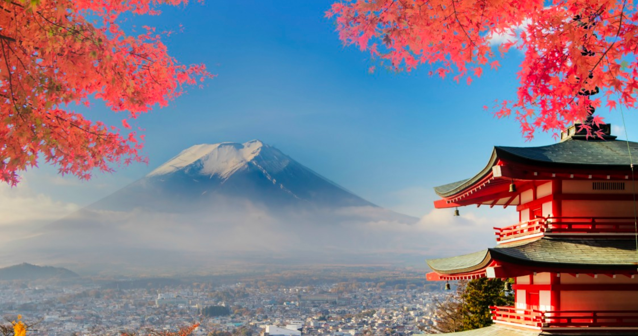 The History of Japanese Whiskey